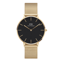 Daniel Wellington Ladies Petite Evergold Watch DW00100349