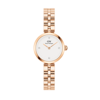 Daniel Wellington Elan Lummine Rose Gold Watch DW00100717